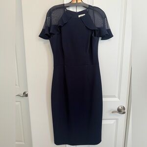 Eliza J Navy Dress with Sheer Ruffle Sleeves